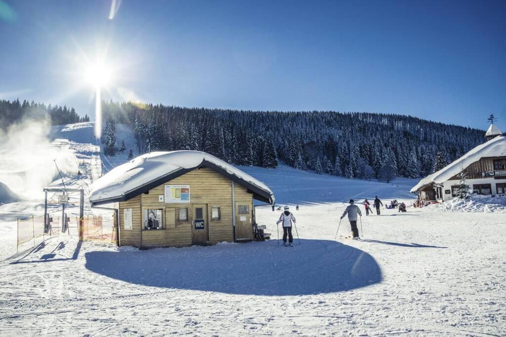Apartement Nathalie - Wellness Mit Pool Und Sauna Schluchsee Bagian luar foto