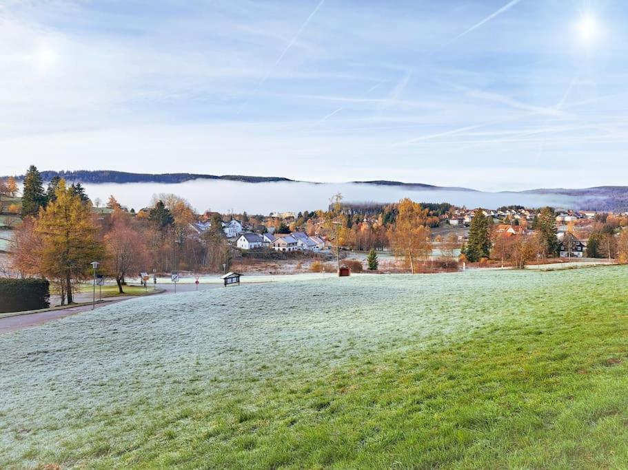 Apartement Nathalie - Wellness Mit Pool Und Sauna Schluchsee Bagian luar foto
